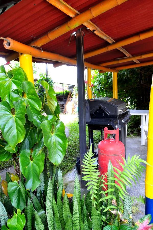 Casa Finca Villa Luz A 800 Mts Del Parque Del Cafe Montenegro Exteriör bild