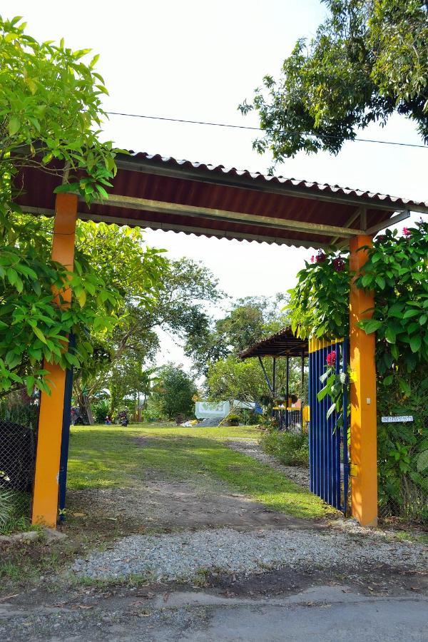 Casa Finca Villa Luz A 800 Mts Del Parque Del Cafe Montenegro Exteriör bild
